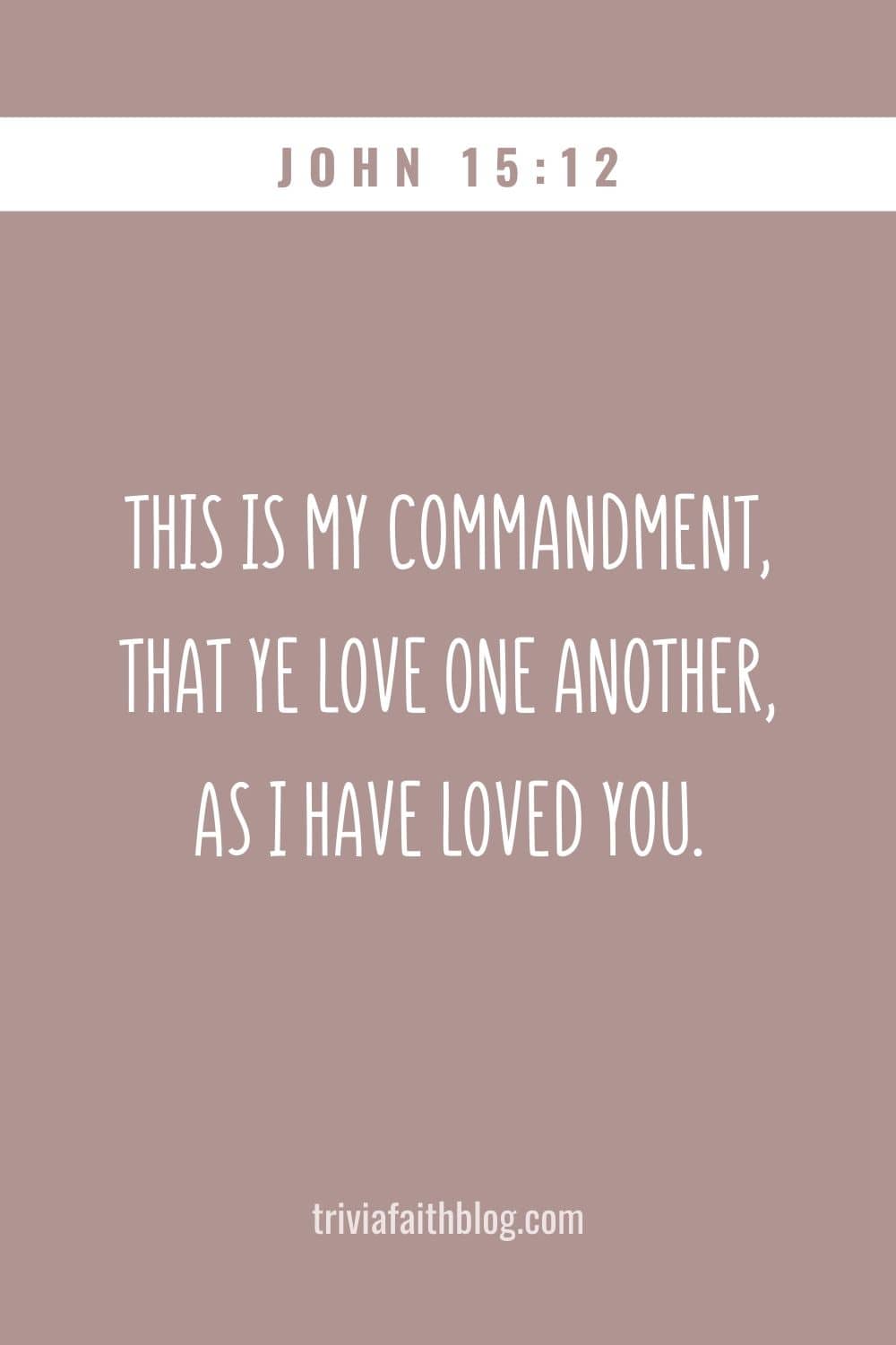 This is my commandment, That ye love one another, as I have loved you
