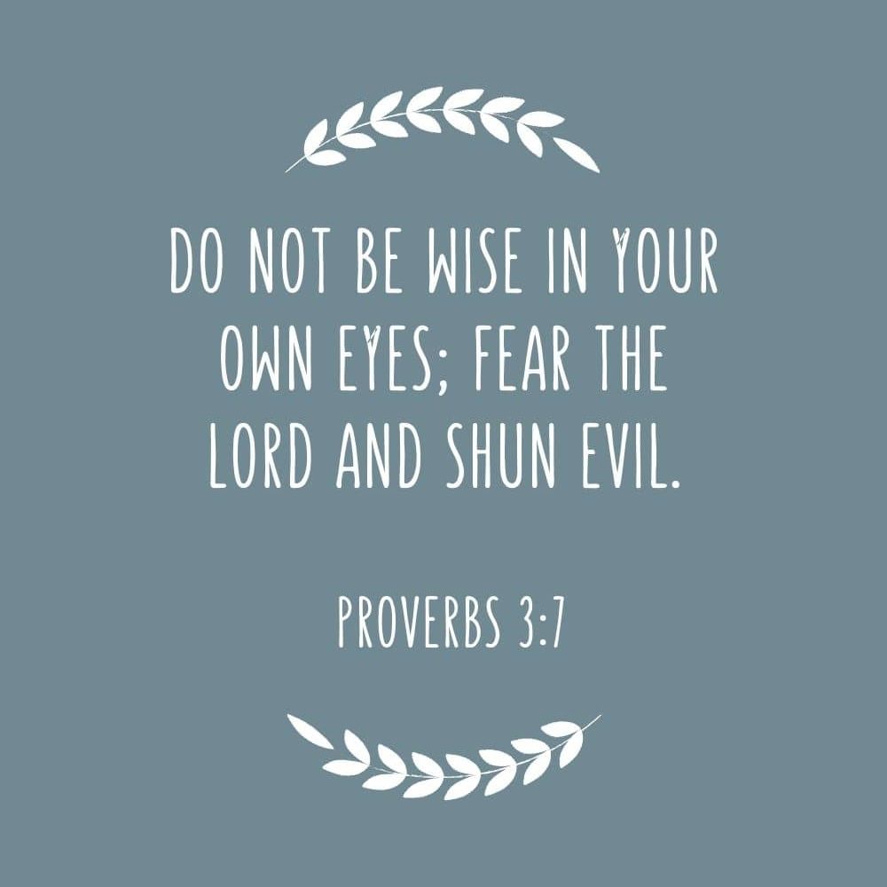 3CC Do not be wise in your own eyes fear the LORD and shun evil edited