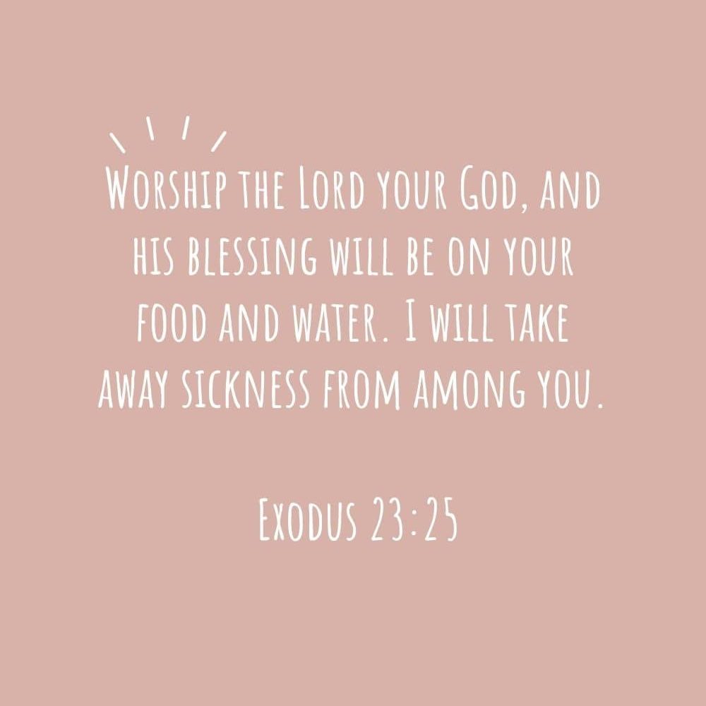 3H Worship the Lord your God and his blessing will be on your food and water. I will take away sickness from among you edited