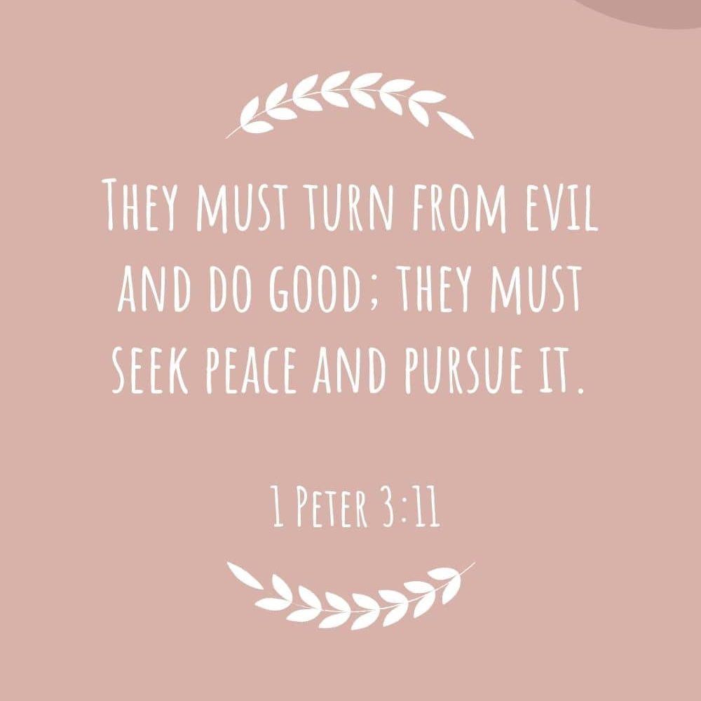 3b They must turn from evil and do good they must seek peace and pursue it edited