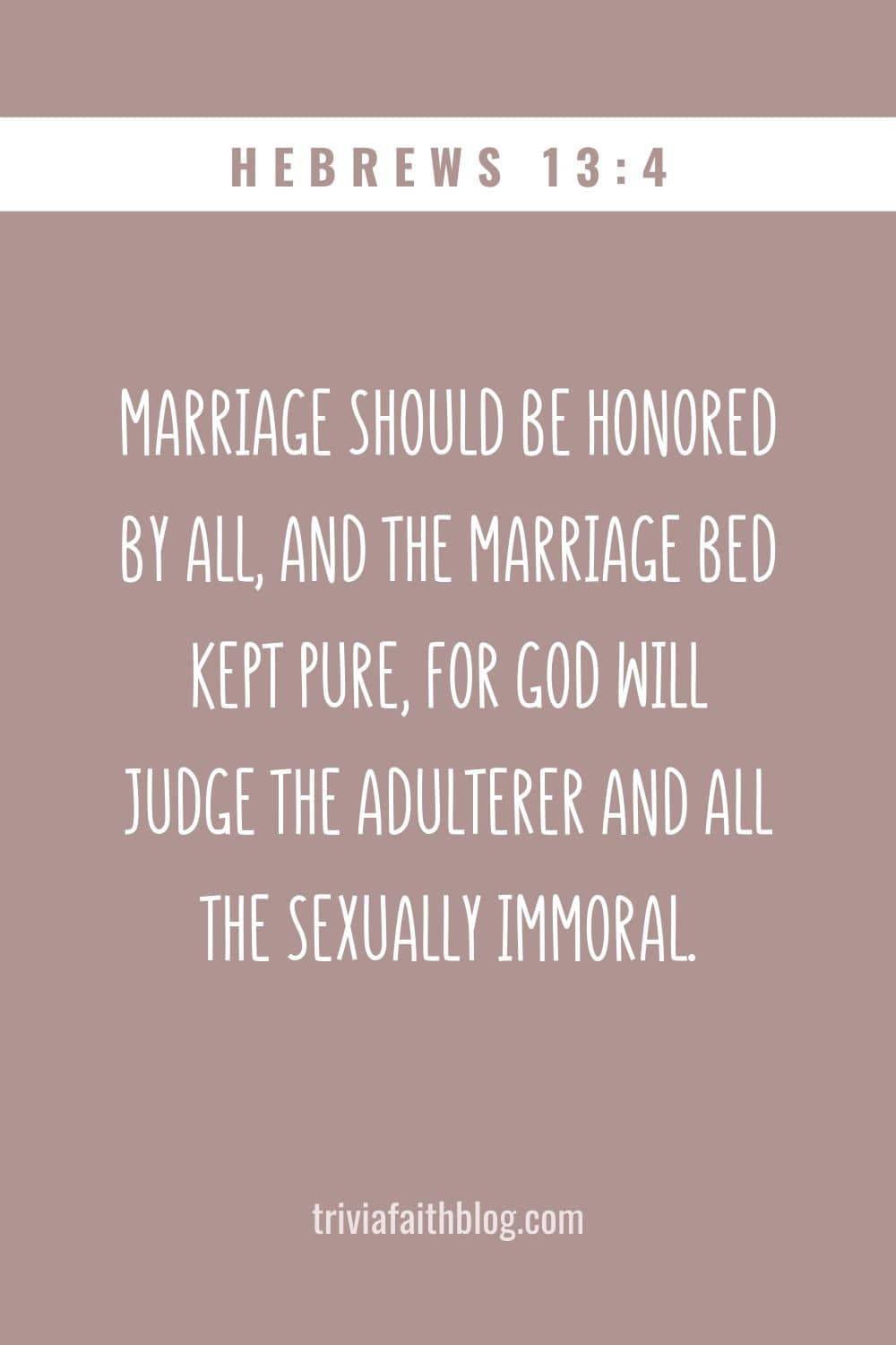 Marriage should be honored by all, and the marriage bed kept pure, for God will judge the adulterer and all the sexually immoral