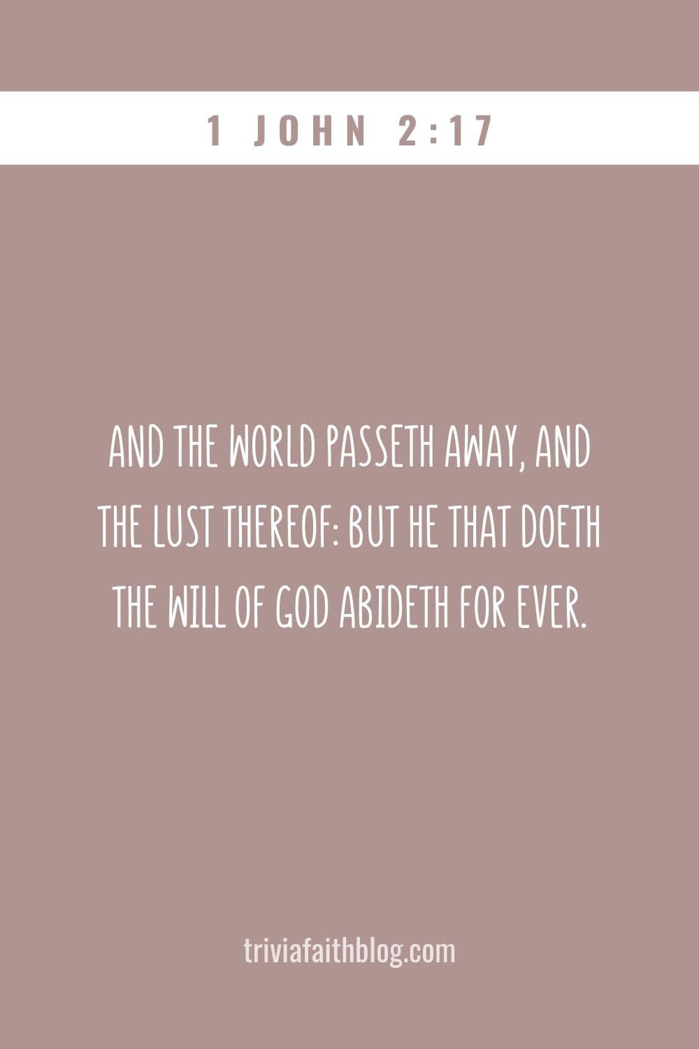 And the world passeth away, and the lust thereof: but he that doeth the will of God abideth for ever.