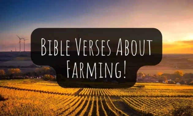 Bible Verses About Farming