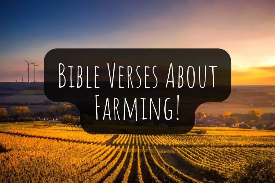 30 Bible Verses About Farming