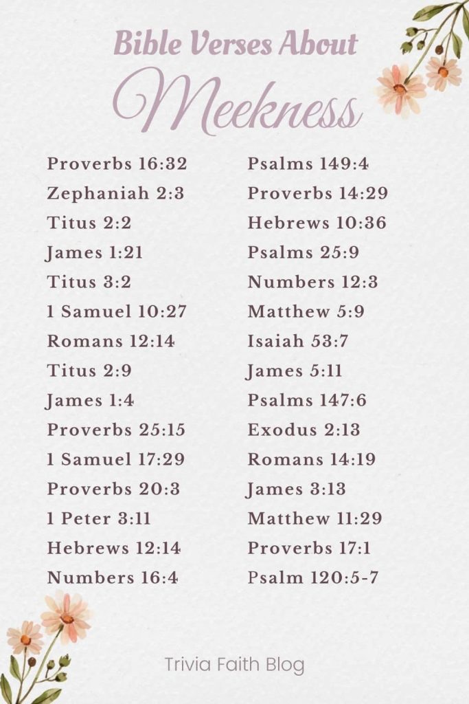 Powerful Bible Verses About Meekness KJV