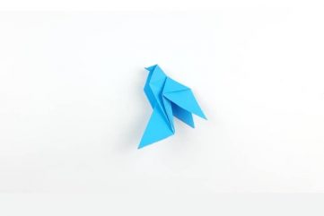 Origami Dove Cover