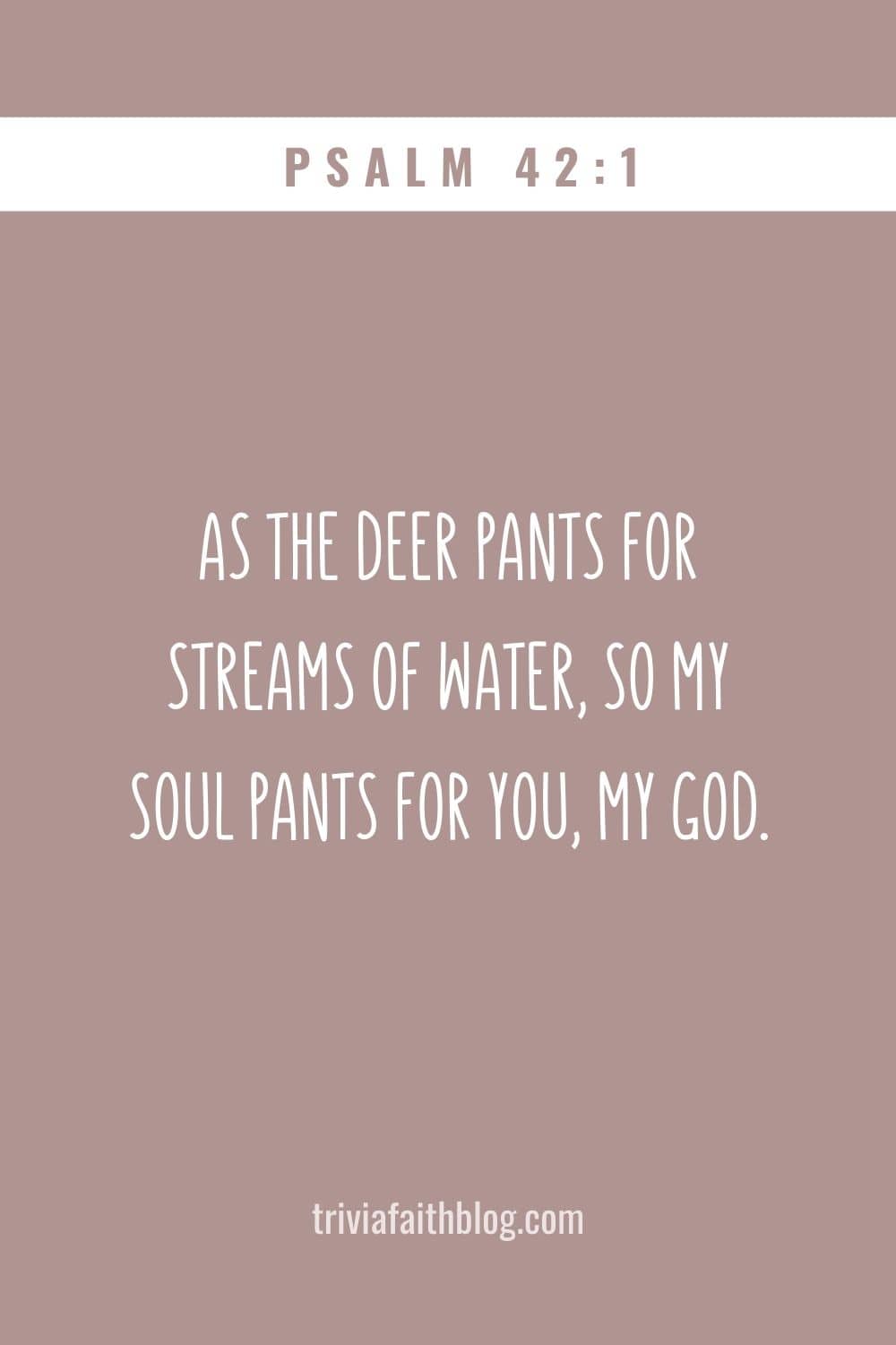 As the deer pants for water, so my soul pants for you