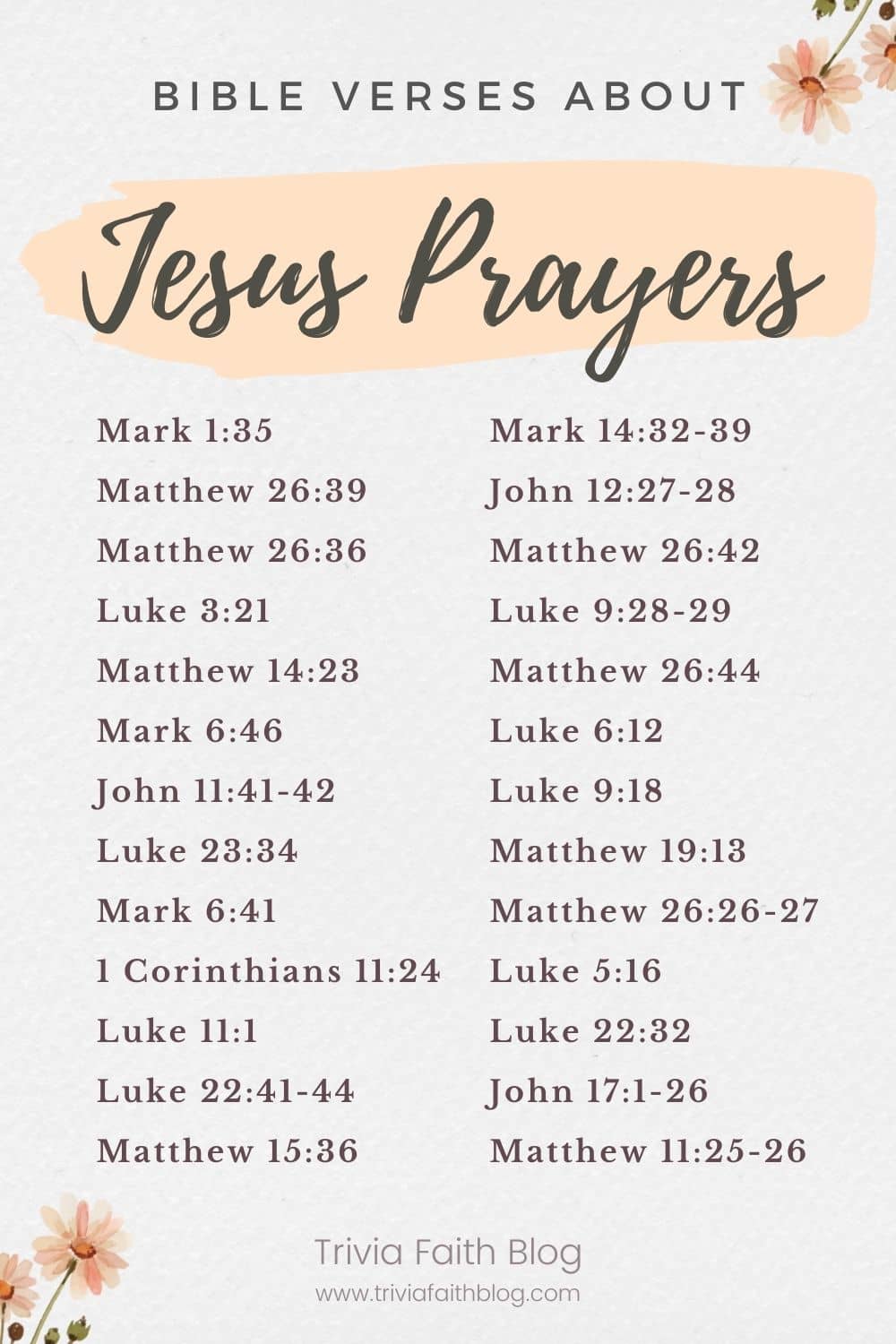 Bible verses about Jesus Prayers KJV