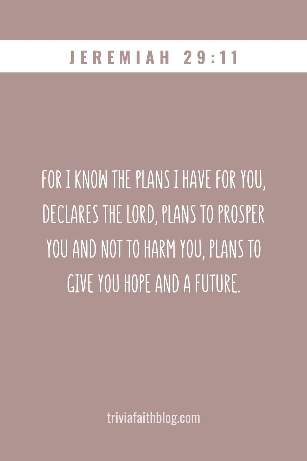 For I know the plans I have for you, declares the Lord, plans to prosper you and not to harm you, plans to give you hope and a future