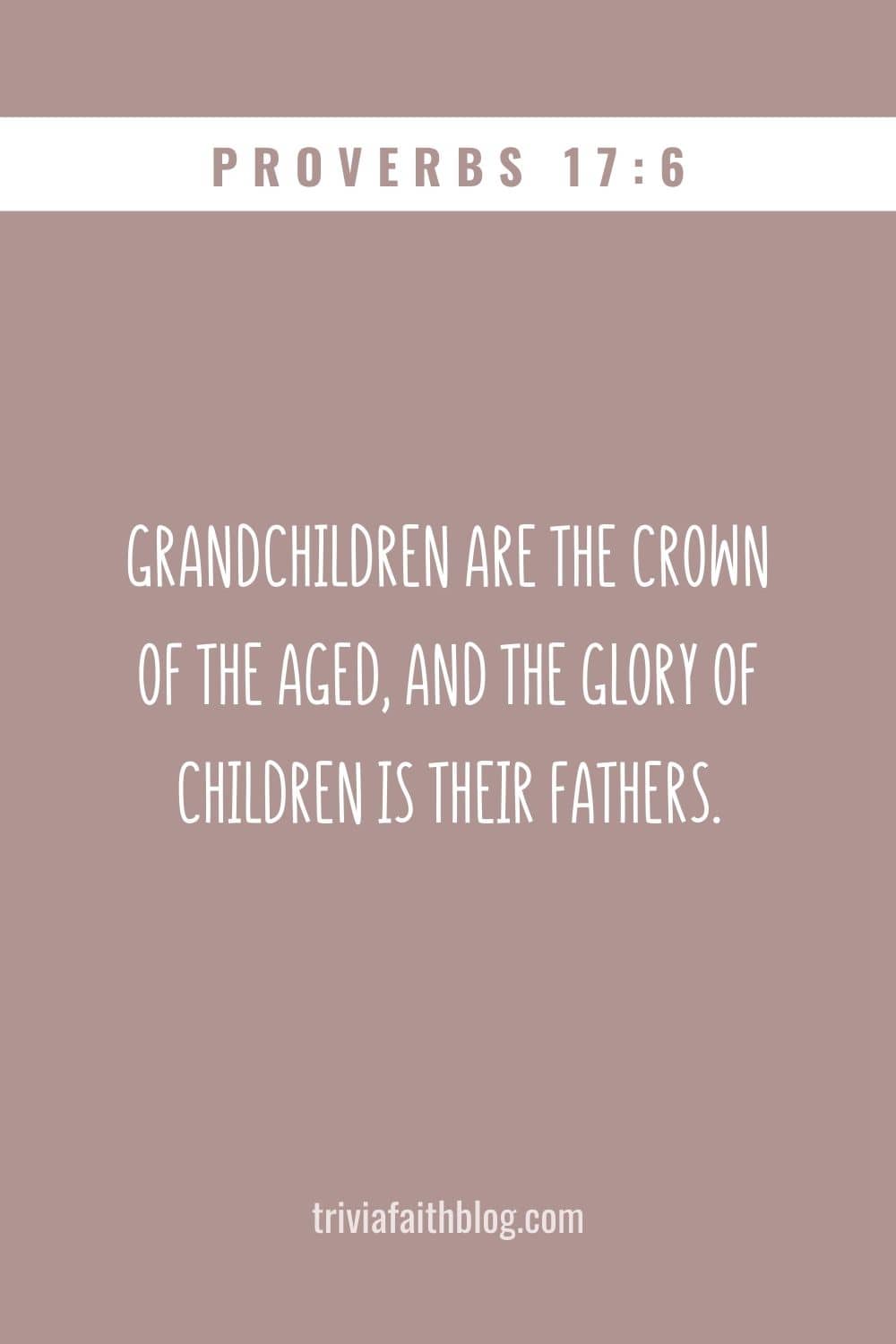Grandchildren are the crown of the aged, and the glory of children is their fathers