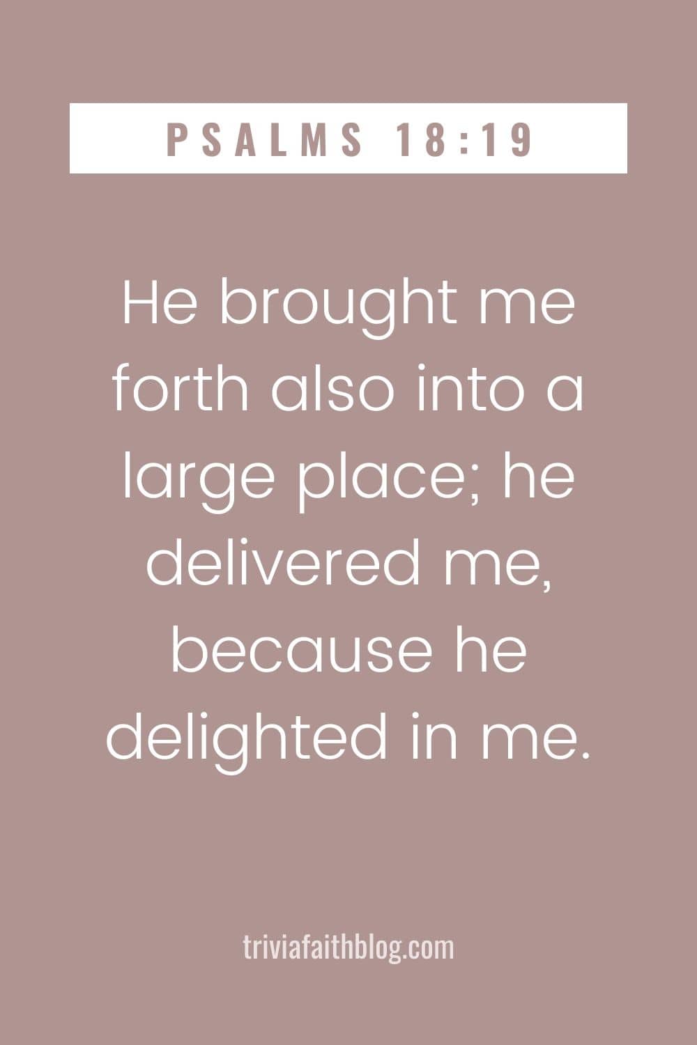 He brought me forth also into a large place he delivered me, because he delighted in me
