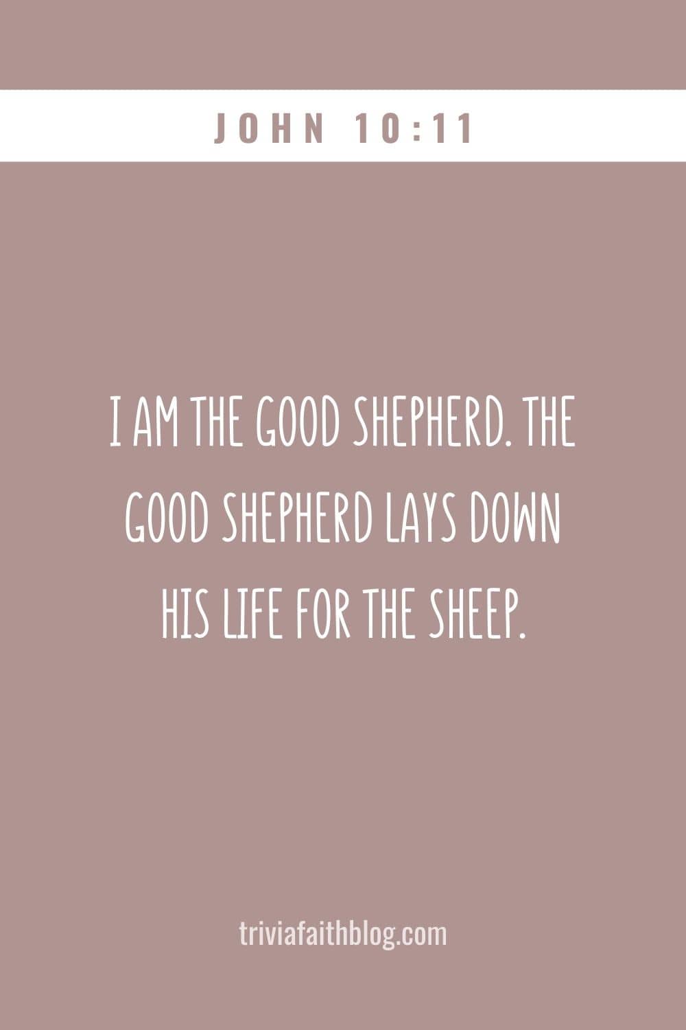I am the good shepherd. The good shepherd lays down his life for the sheep
