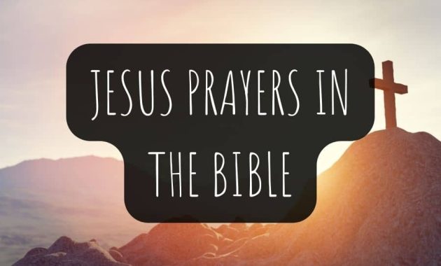 Jesus Prayers In The Bible KJV