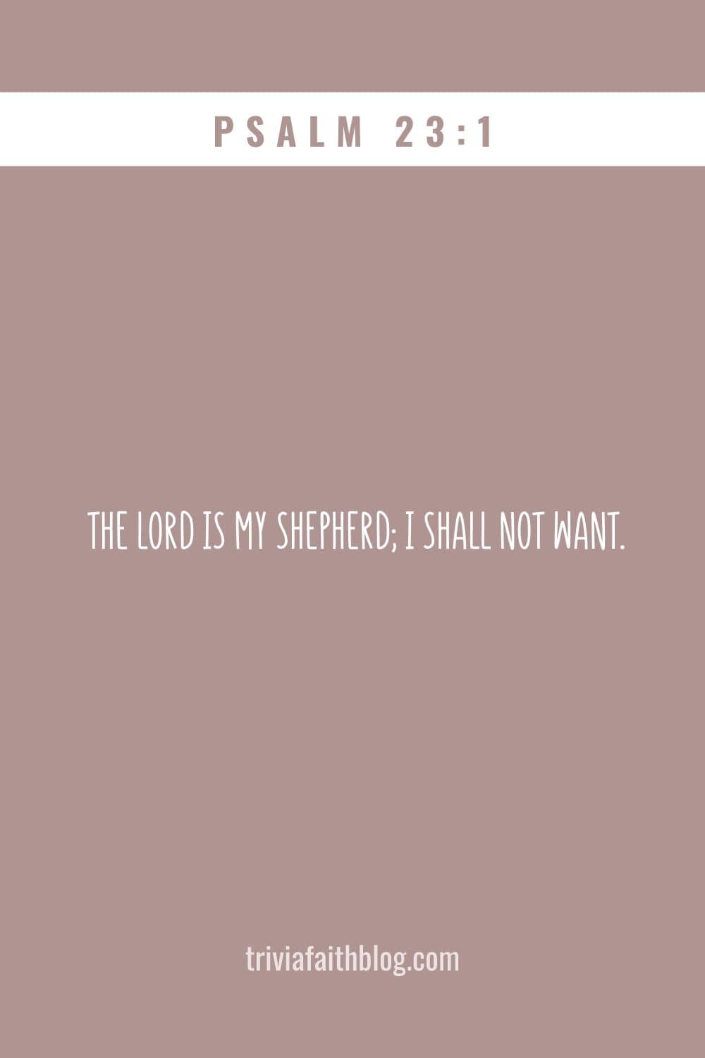 The Lord is my shepherd, I lack nothing. god the good shepherd