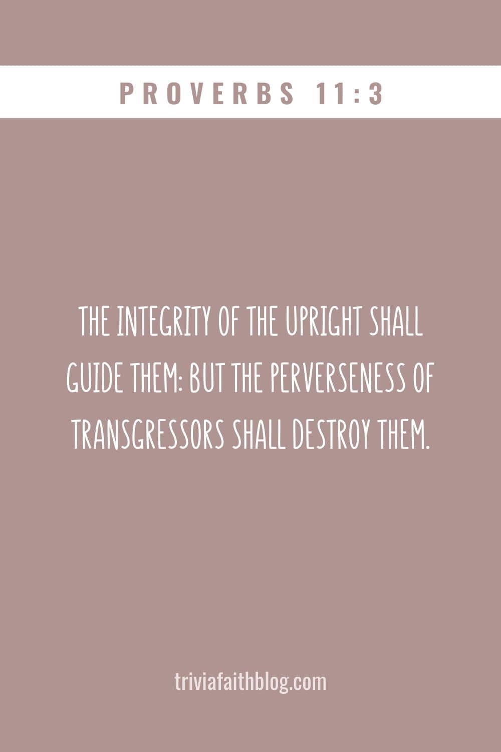 The integrity of the upright shall guide them but the perverseness of transgressors shall destroy them