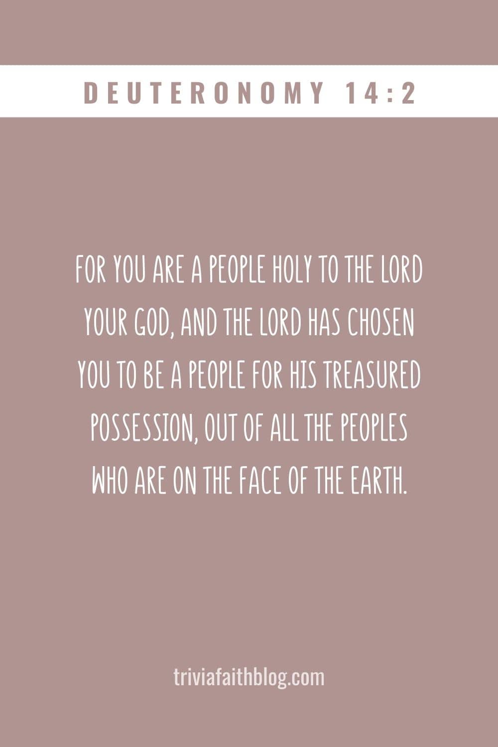 For you are a people holy to the Lord your God, and the Lord has chosen you to be a people for his treasured possession, out of all the peoples who are on the face of the earth