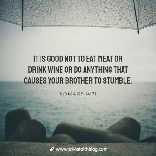 It is good not to eat meat or drink wine or do anything that causes your brother to stumble