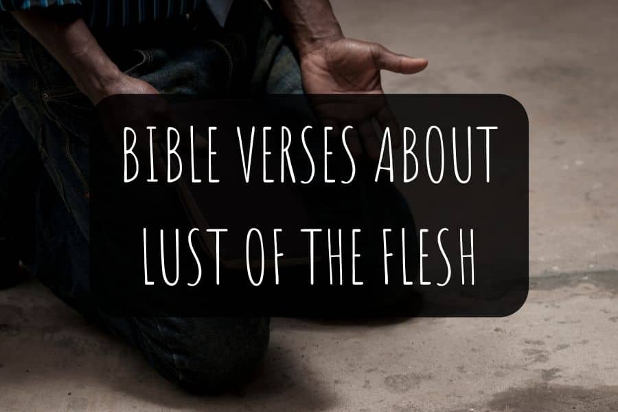 Bible Verses About Lust Of The Flesh