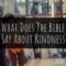 What Does The Bible Say About Kindness