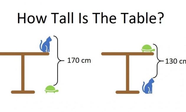 How tall is the table