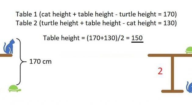 How tall is the table solution