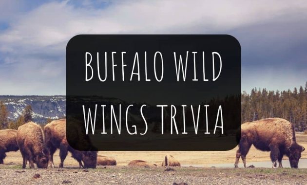 Buffalo Wild Wings Trivia Questions and Answers