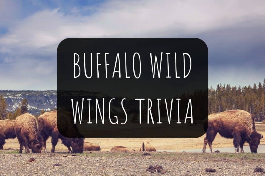 Buffalo Wild Wings Trivia Questions and Answers