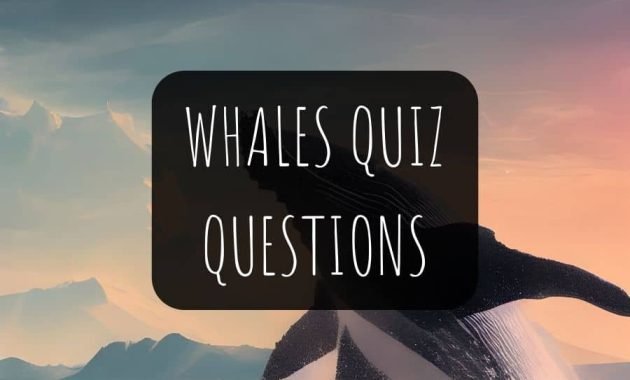 Whales Quiz Questions and Answers