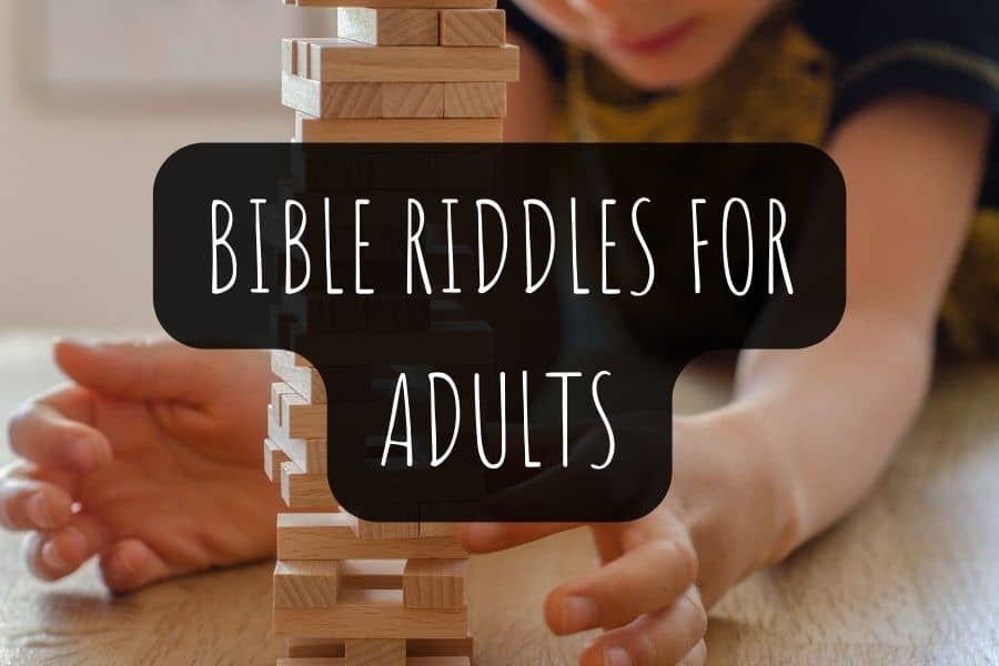 bible riddles for adults