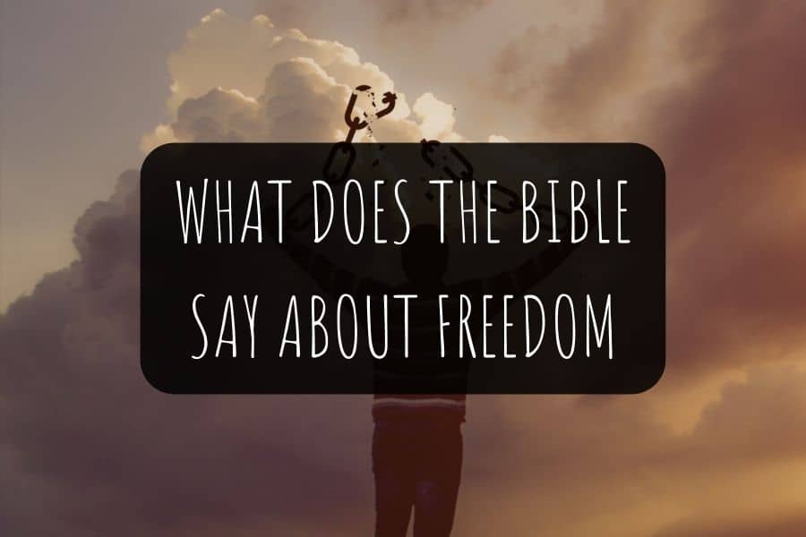 What Does The Bible Say About Freedom