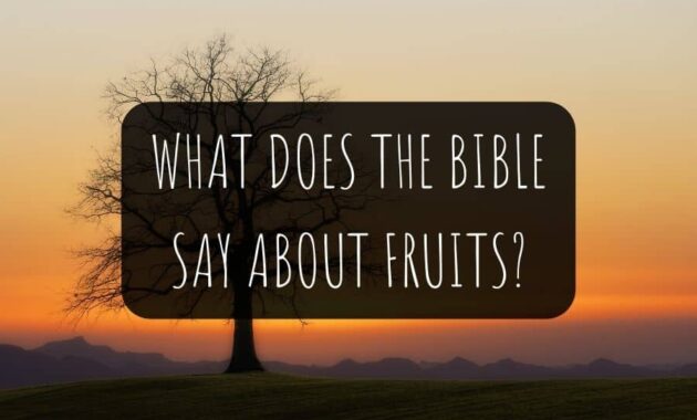 What Does The Bible Say About Fruits?