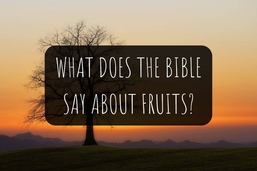 what-does-the-bible-say-about-fruits