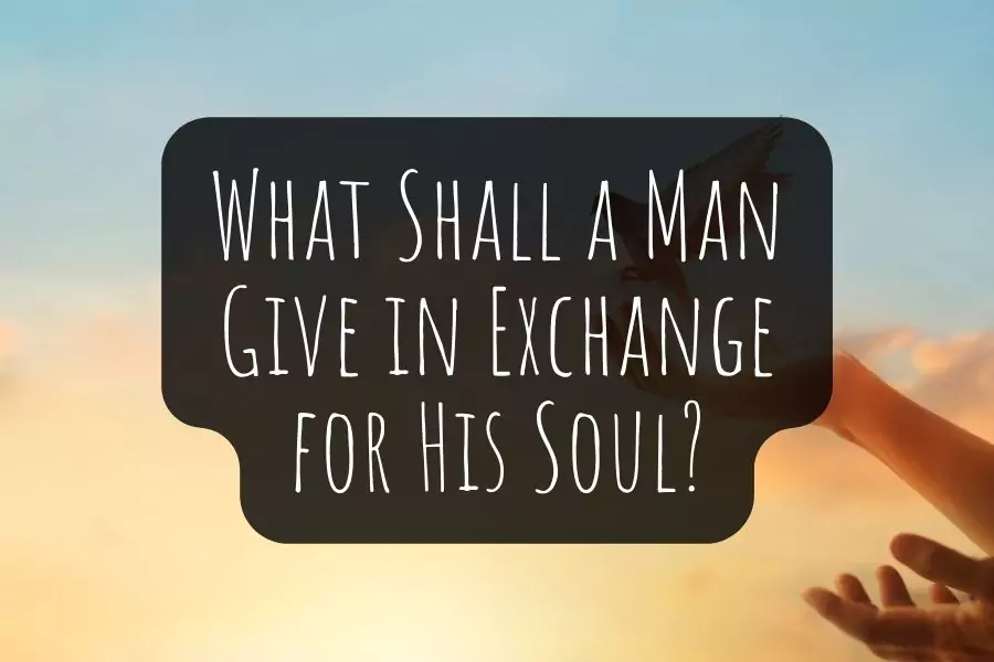 what shall a man give in exchange for his soul        
        <figure class=