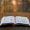 bible-page-on-gray-concrete-surface-stockpack-unsplash